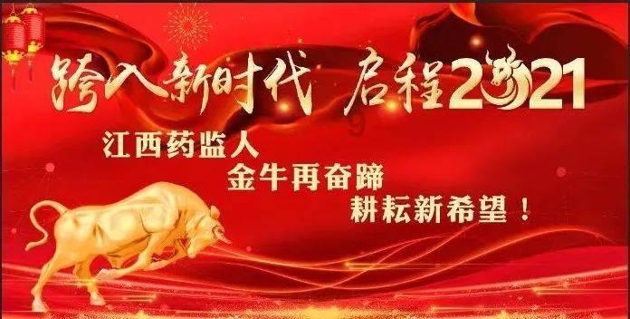 可爱小猫向上跳
