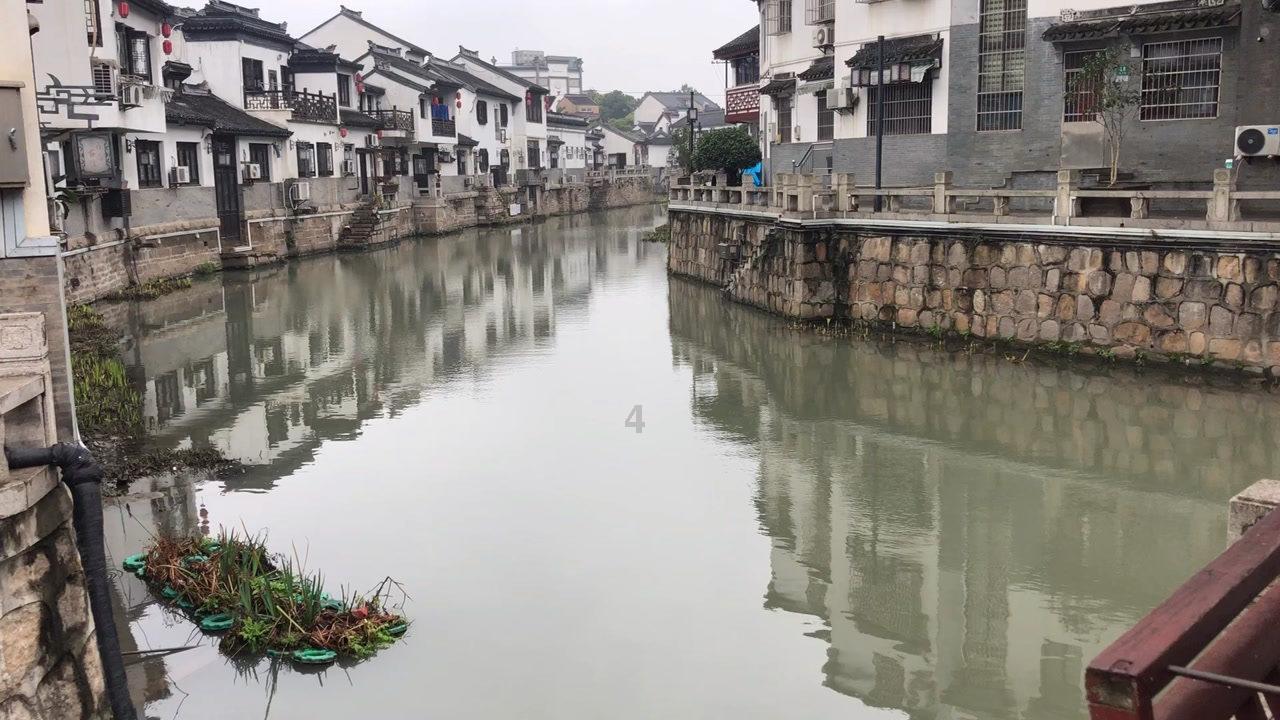 无休止的树